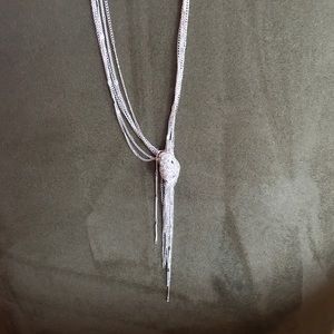 Long silver necklace from Express